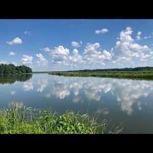 Meet your Posher, Todd